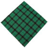 Factory Multifunctional Cotton Pet Bandana Kerchief Custom Square Dog Bandana Bibs Green Plaid Tartan Pet Scarfs for Puppy Dog Cat Stylish Pet Accessories OEM Neckwear Pet Collar Apparel Wholesale