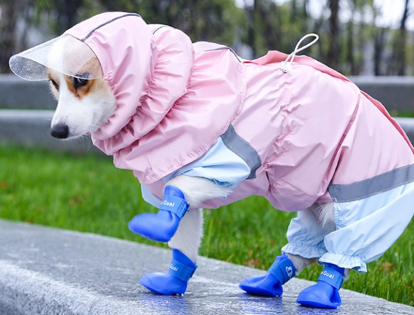 Supplier Exquisite Sun Block Lightweight Pet Raincoat Comfortable Dog Raincoat for Summer Stylish Dog Hoodie Windproof Jacket Pet Waterproof Customized Clothes Designer Pet Apparel