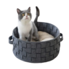 Pet sitting in the bed