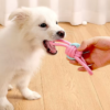 High Quality Interactive Pet Chew Toy Set Durable Cotton Rope Dog Toy