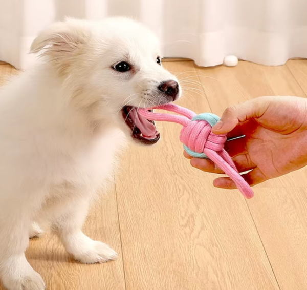 High Quality Interactive Pet Chew Toy Set Durable Cotton Rope Dog Toy